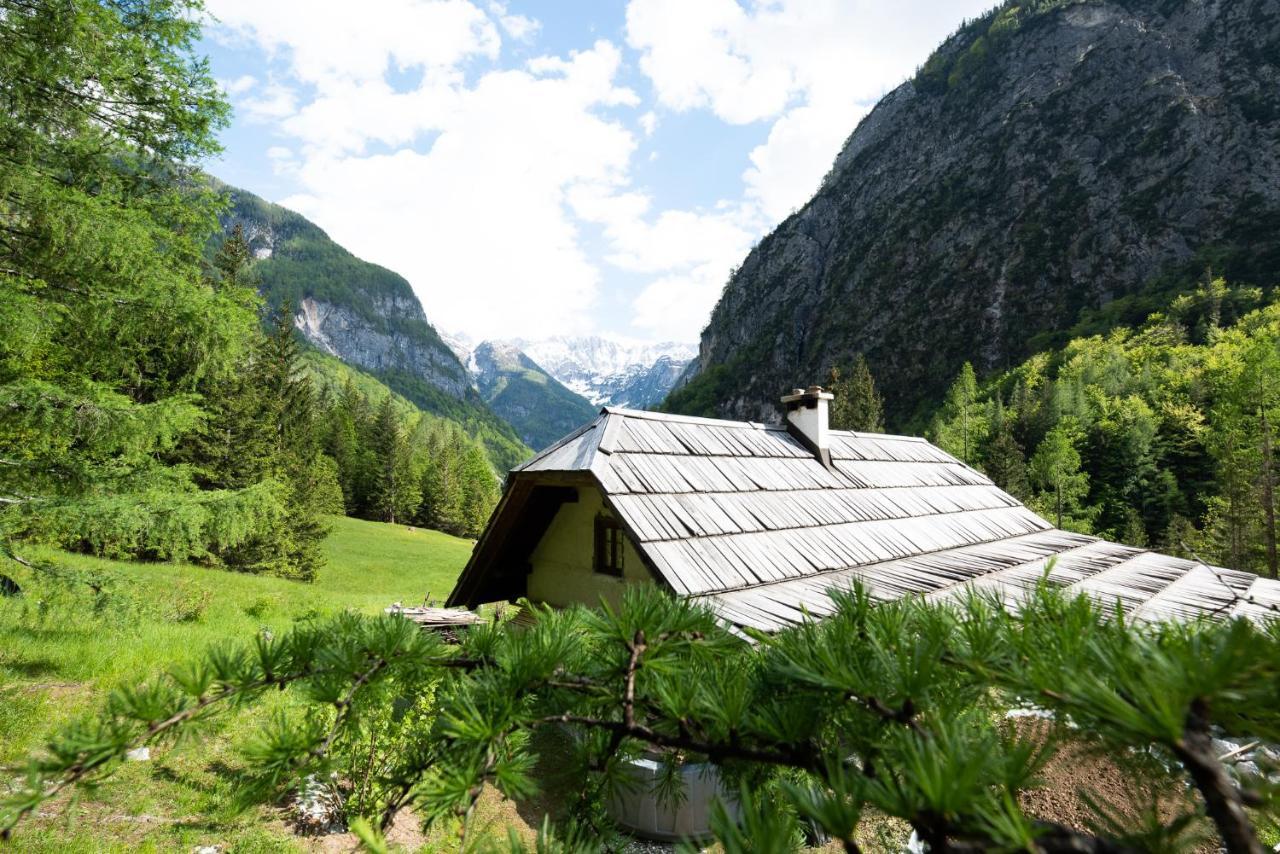 Wild Flower Cottage In Трента Екстериор снимка