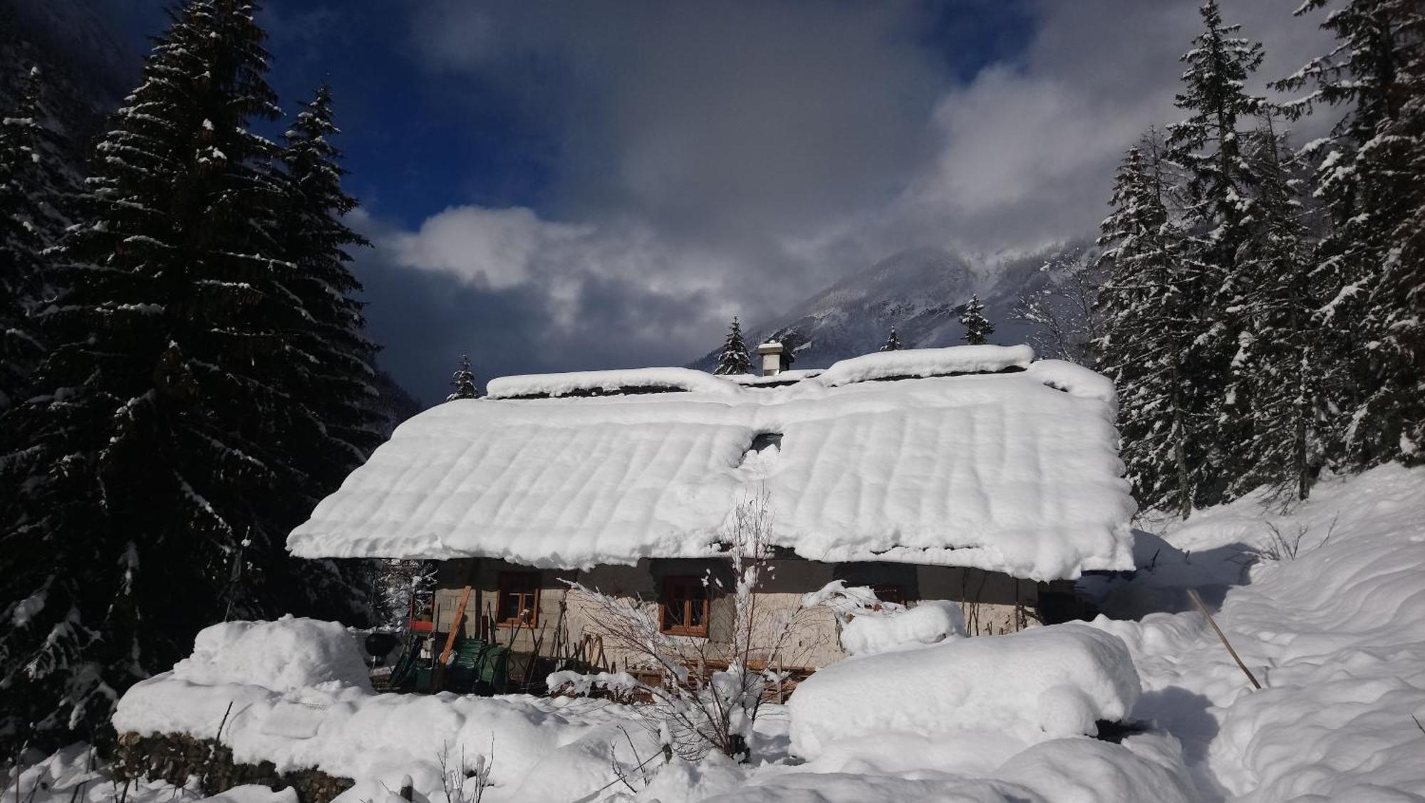 Wild Flower Cottage In Трента Екстериор снимка